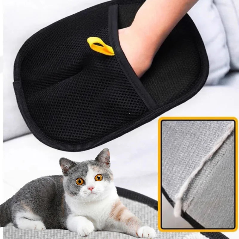 Gant anti-poils animaux Whisko utilisé sur un chien à poil court