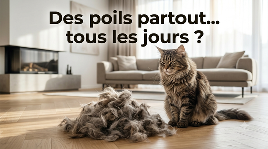 Peigne autonettoyant pour animaux de compagnie, brosse pour chat, épilation pour animaux de compagnie SlUNICEF, brosses de toilettage pour chats, accessoires pour chiens